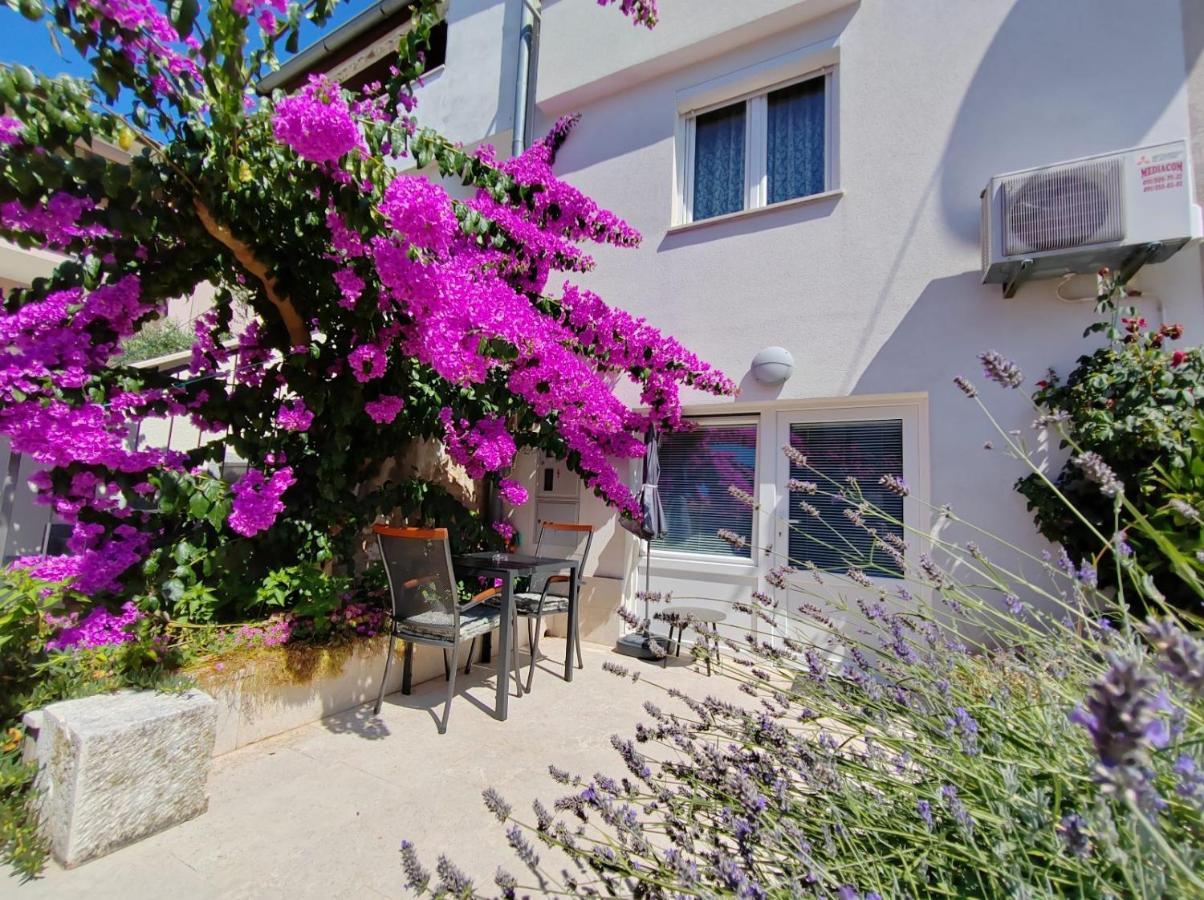 Apartment Studio City Garden *