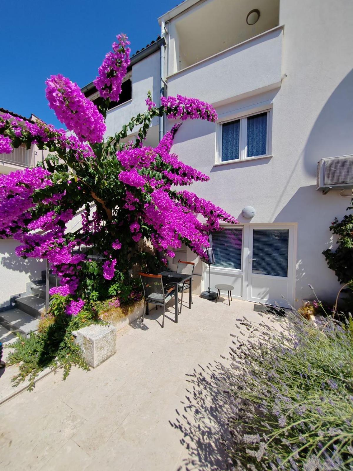 Apartment Studio City Garden